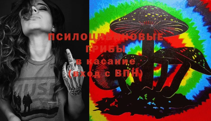 купить  сайты  Красный Сулин  Галлюциногенные грибы MAGIC MUSHROOMS 